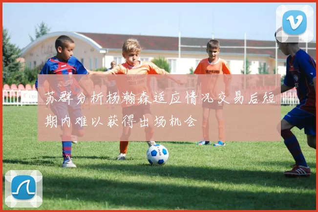 苏群分析杨瀚森适应情况交易后短期内难以获得出场机会