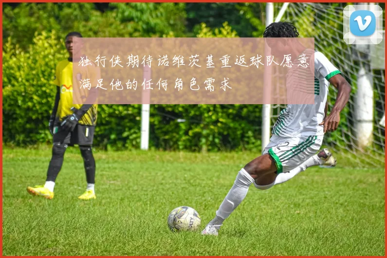独行侠期待诺维茨基重返球队愿意满足他的任何角色需求